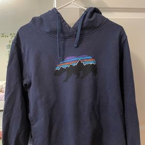 Patagonia bear hoodie